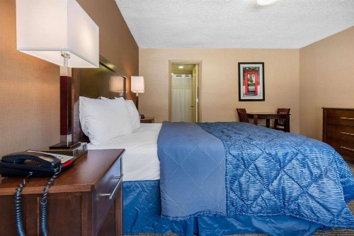 Rodeway Inn Chicago - image 9