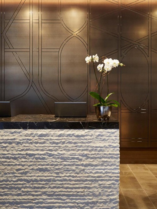 Loews Chicago Hotel - image 28