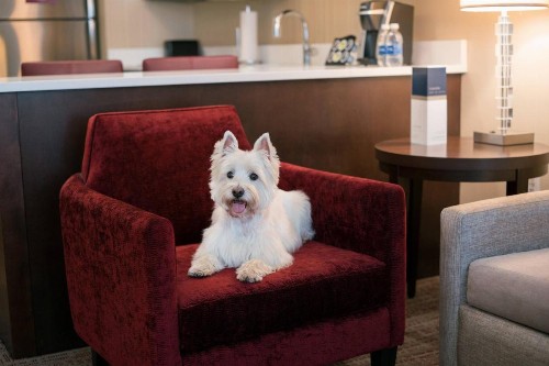 Residence Inn by Marriott Chicago Downtown/Loop - image 43