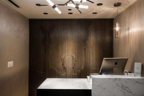 LondonHouse Chicago Curio Collection by Hilton - image 13