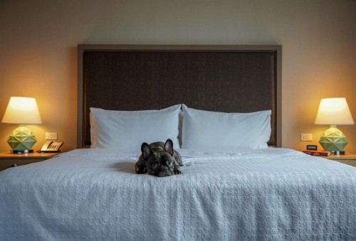 Homewood Suites by Hilton Chicago Downtown West Loop - image 27