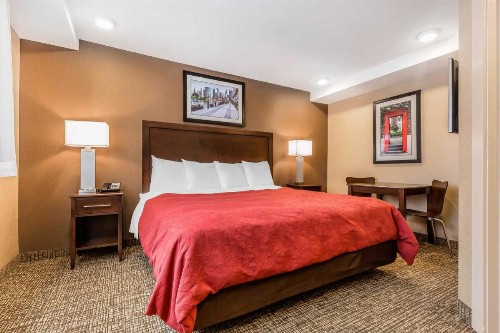 Rodeway Inn Chicago/Evanston - image 15