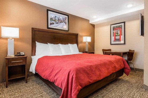 Rodeway Inn Chicago/Evanston - image 16