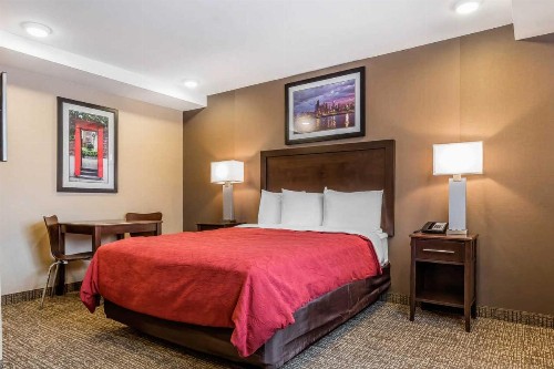 Rodeway Inn Chicago/Evanston - image 17