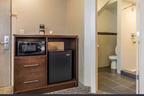 Rodeway Inn Chicago/Evanston - image 19
