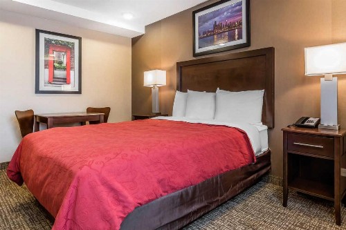 Rodeway Inn Chicago/Evanston - image 6