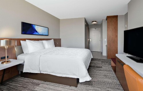 Hilton Garden Inn Chicago McCormick Place - image 28