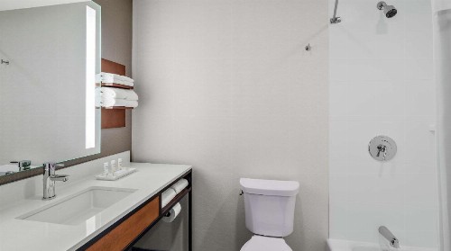 Hilton Garden Inn Chicago McCormick Place - image 34