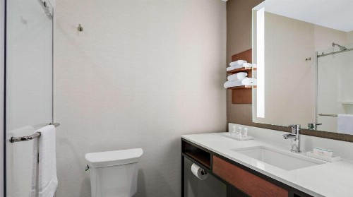 Hilton Garden Inn Chicago McCormick Place - image 36