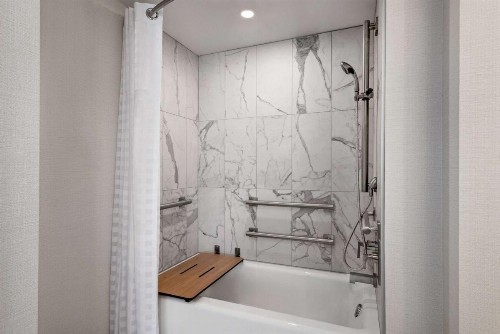 Hilton Grand Vacations Chicago Downtown Magnificent Mile - image 10