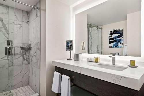 Hilton Grand Vacations Chicago Downtown Magnificent Mile - image 9