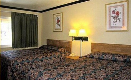 Town House Motel - image 8