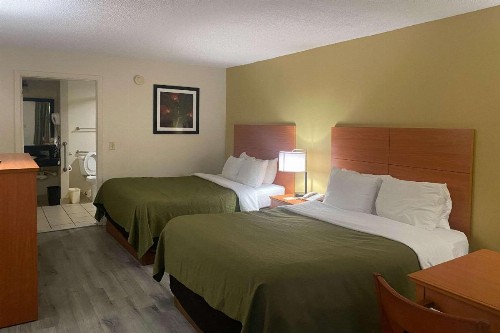 Quality Inn near Manatee Springs State Park - image 13