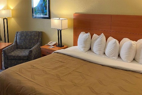 Quality Inn near Manatee Springs State Park - image 17