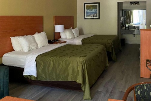 Quality Inn near Manatee Springs State Park - image 2