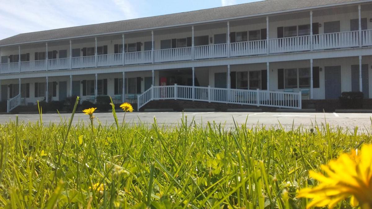 Sea Shell Motel - image 2