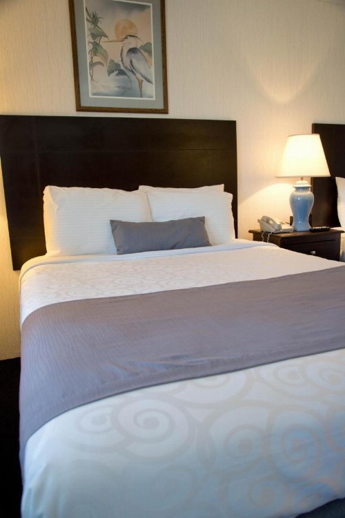 Sea Shell Motel - image 23