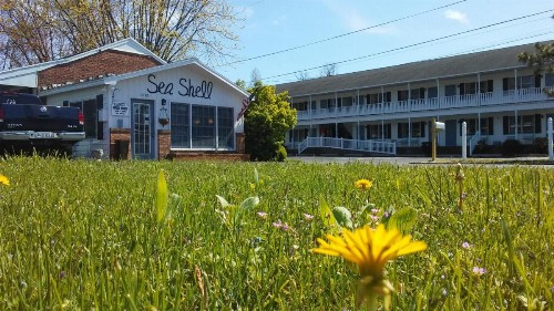 Sea Shell Motel - image 28