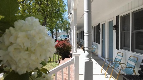 Sea Shell Motel - image 33
