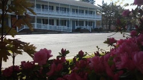 Sea Shell Motel - image 34