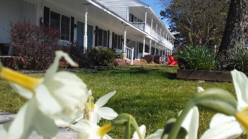 Sea Shell Motel - image 37