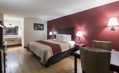 Red Roof Inn Chipley - image 14