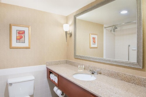 Holiday Inn Cincinnati-Eastgate an IHG Hotel - image 18