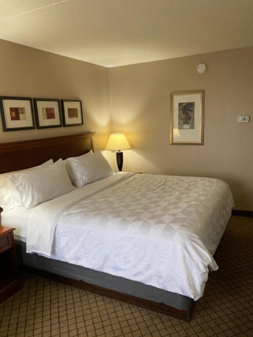 Holiday Inn Cincinnati-Eastgate an IHG Hotel - image 35