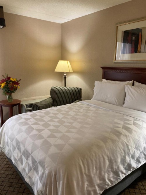 Holiday Inn Cincinnati-Eastgate an IHG Hotel - image 5