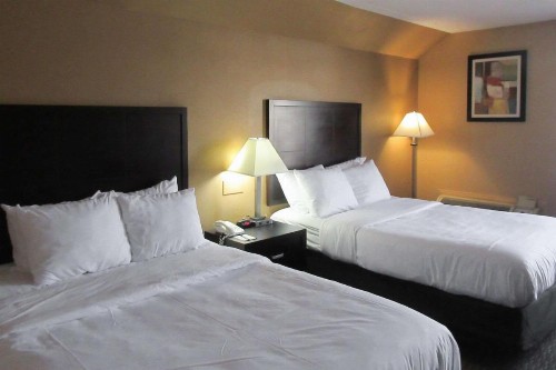 Quality Inn & Suites - image 11