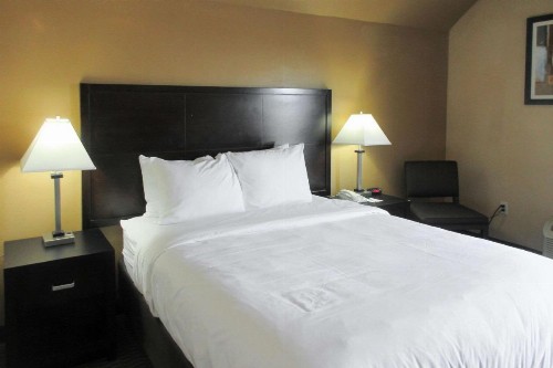 Quality Inn & Suites - image 7
