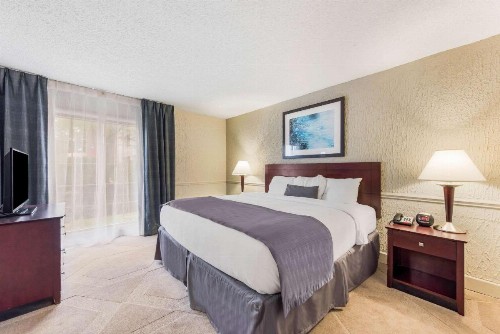 The Blu Hotel Ascend Hotel Collection - image 11