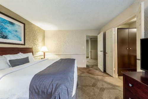 The Blu Hotel Ascend Hotel Collection - image 13