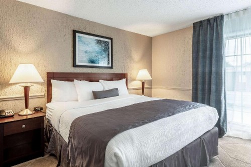 The Blu Hotel Ascend Hotel Collection - image 14