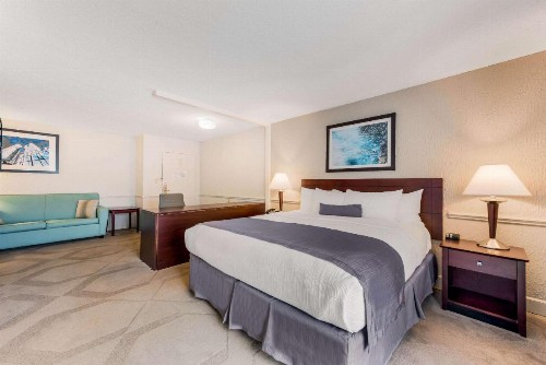 The Blu Hotel Ascend Hotel Collection - image 17