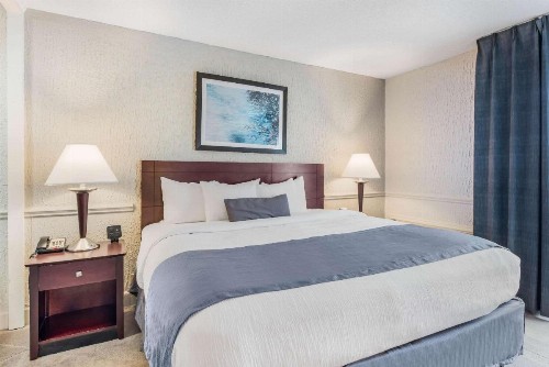 The Blu Hotel Ascend Hotel Collection - image 20