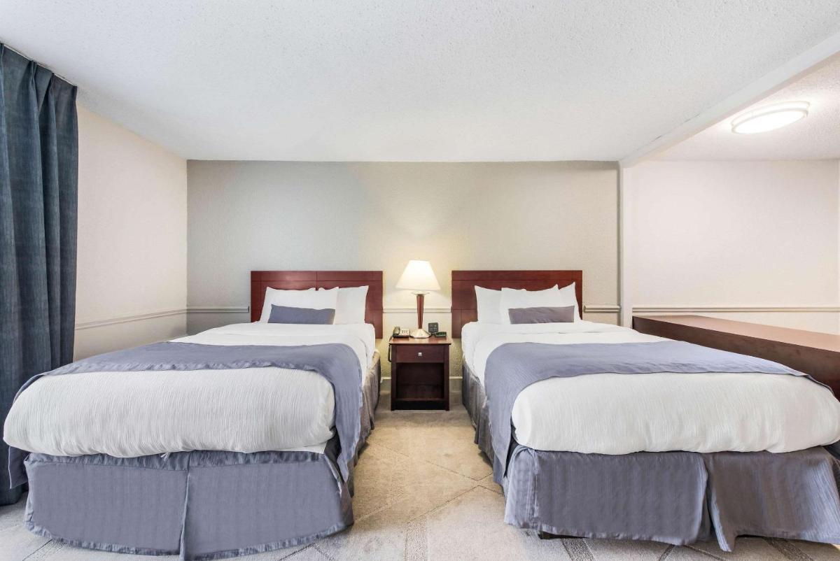 The Blu Hotel Ascend Hotel Collection - image 7