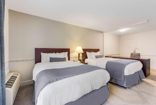 The Blu Hotel Ascend Hotel Collection - image 8