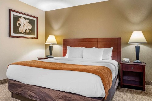 Comfort Inn Northeast Cincinnati - image 10