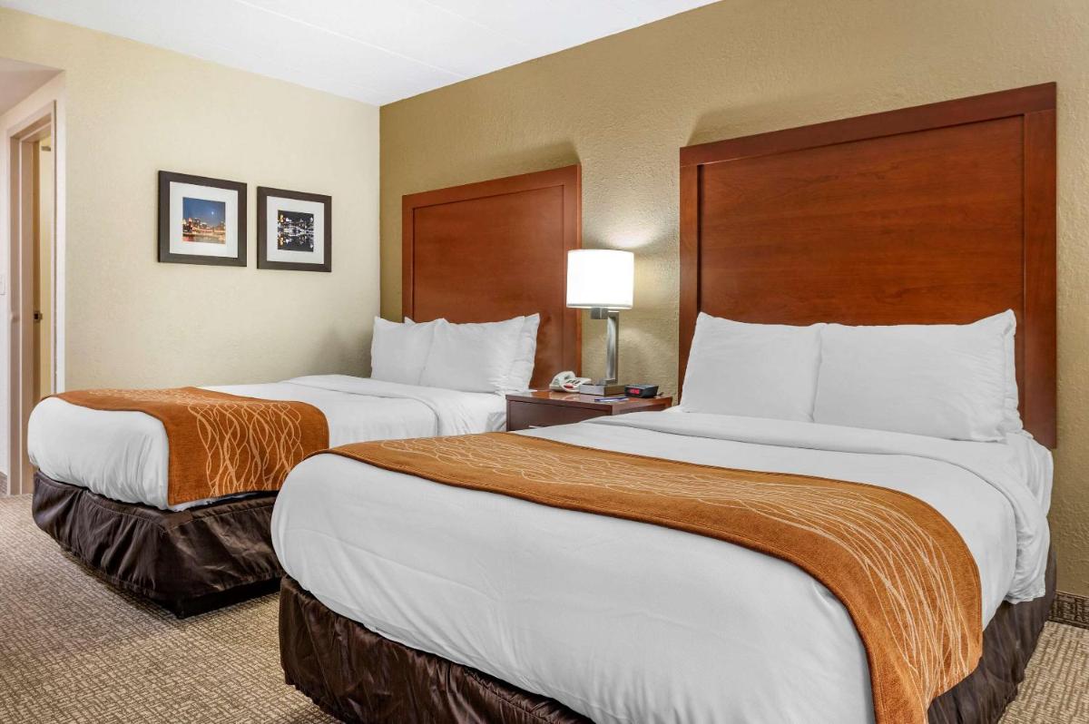 Comfort Inn Northeast Cincinnati - image 2