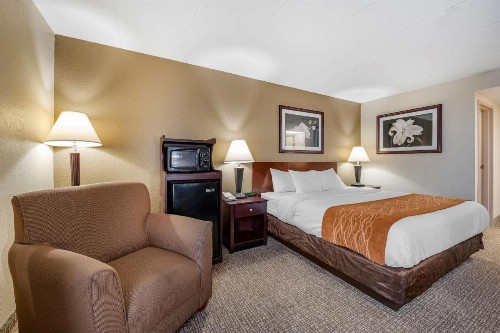 Comfort Inn Northeast Cincinnati - image 30