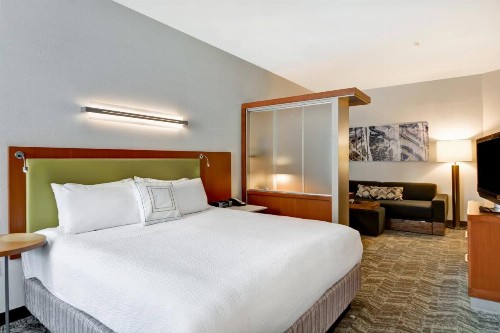 SpringHill Suites by Marriott Cincinnati Midtown - image 30