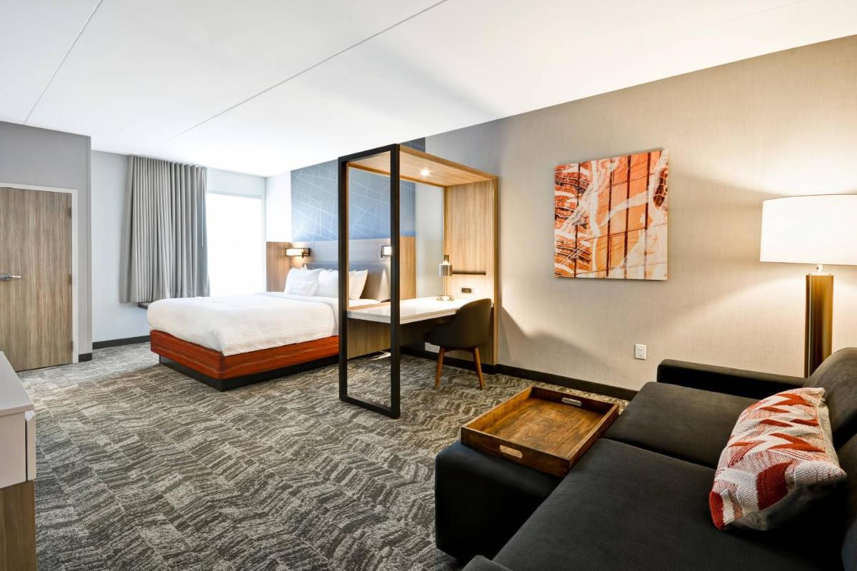 SpringHill Suites by Marriott Cincinnati Blue Ash - image 5