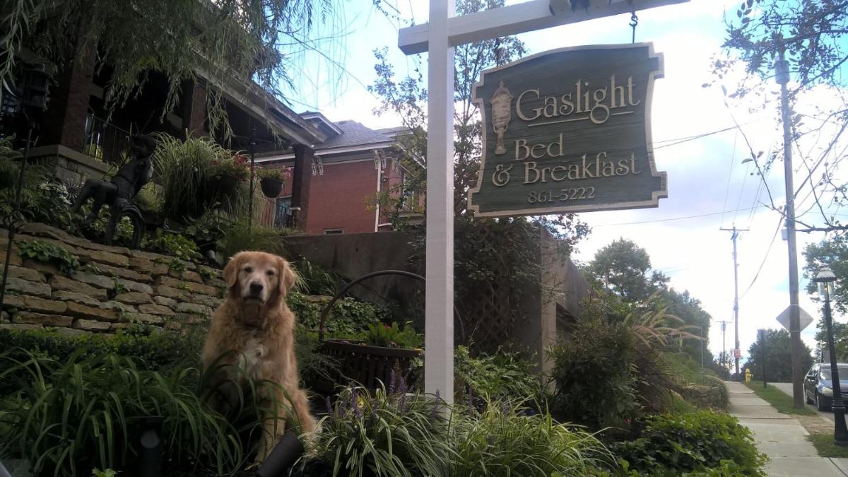 Gaslight Bed & Breakfast - image 2