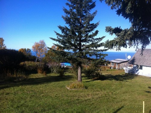 Clam Gulch Cabin - image 10