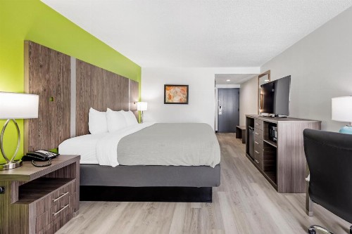 Quality Inn - image 35