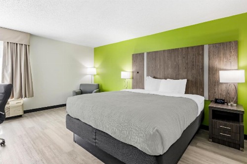 Quality Inn - image 36