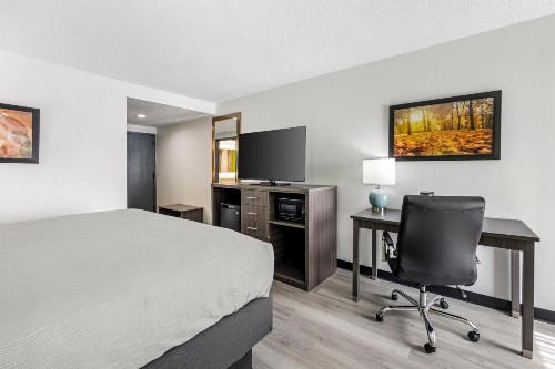 Quality Inn - image 37