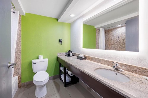 Quality Inn - image 40
