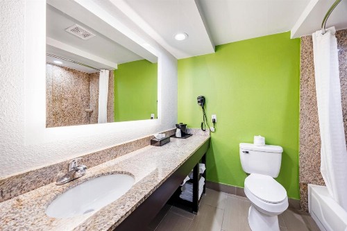 Quality Inn - image 45